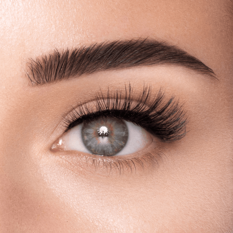 WIFEY LASH